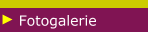 Fotogalerie