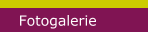 Fotogalerie